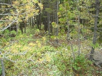 Thumb lot 158 elk cir